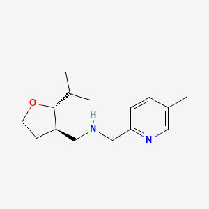 molecular formula C15H24N2O B6875449 N-[(5-methylpyridin-2-yl)methyl]-1-[(2R,3R)-2-propan-2-yloxolan-3-yl]methanamine 