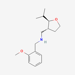 molecular formula C16H25NO2 B6875739 N-[(2-methoxyphenyl)methyl]-1-[(2R,3R)-2-propan-2-yloxolan-3-yl]methanamine 