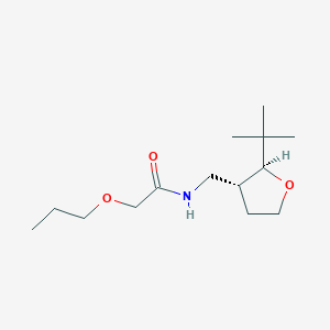 molecular formula C14H27NO3 B6875827 N-[[(2S,3R)-2-tert-butyloxolan-3-yl]methyl]-2-propoxyacetamide 