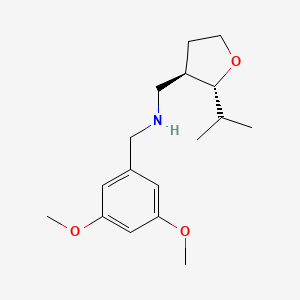 molecular formula C17H27NO3 B6876989 N-[(3,5-dimethoxyphenyl)methyl]-1-[(2R,3R)-2-propan-2-yloxolan-3-yl]methanamine 