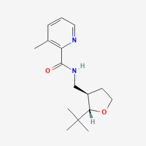 molecular formula C16H24N2O2 B6879480 N-[[(2S,3R)-2-tert-butyloxolan-3-yl]methyl]-3-methylpyridine-2-carboxamide 