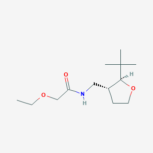 molecular formula C13H25NO3 B6880284 N-[[(2S,3R)-2-tert-butyloxolan-3-yl]methyl]-2-ethoxyacetamide 