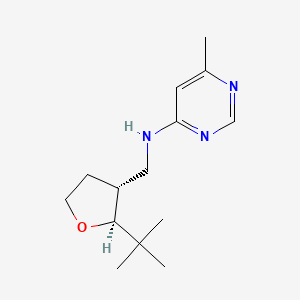 molecular formula C14H23N3O B6882950 N-[[(2S,3R)-2-tert-butyloxolan-3-yl]methyl]-6-methylpyrimidin-4-amine 