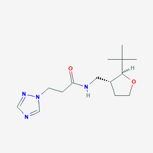 molecular formula C14H24N4O2 B6882983 N-[[(2S,3R)-2-tert-butyloxolan-3-yl]methyl]-3-(1,2,4-triazol-1-yl)propanamide 