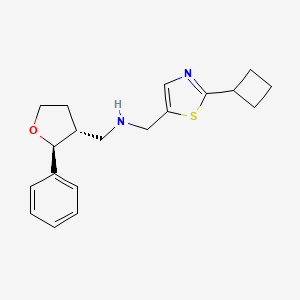molecular formula C19H24N2OS B6884784 N-[(2-cyclobutyl-1,3-thiazol-5-yl)methyl]-1-[(2S,3R)-2-phenyloxolan-3-yl]methanamine 
