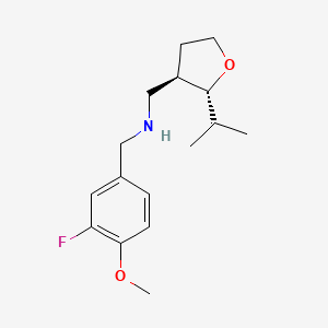 molecular formula C16H24FNO2 B6885195 N-[(3-fluoro-4-methoxyphenyl)methyl]-1-[(2R,3R)-2-propan-2-yloxolan-3-yl]methanamine 