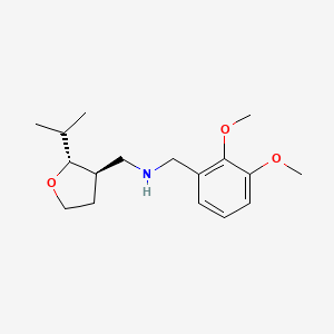 molecular formula C17H27NO3 B6885307 N-[(2,3-dimethoxyphenyl)methyl]-1-[(2R,3R)-2-propan-2-yloxolan-3-yl]methanamine 