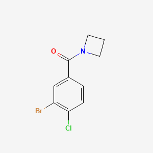 molecular formula C10H9BrClNO B6893619 1-(3-Bromo-4-chlorobenzoyl)azetidine 