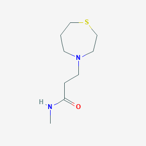 molecular formula C9H18N2OS B6894279 N-methyl-3-(1,4-thiazepan-4-yl)propanamide 
