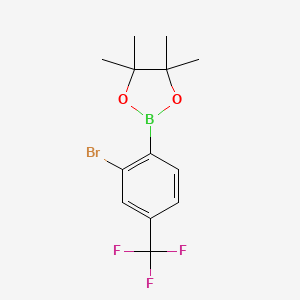 molecular formula C13H15BBrF3O2 B6894714 2-(2-Bromo-4-(trifluoromethyl)phenyl)-4,4,5,5-tetramethyl-1,3,2-dioxaborolane 