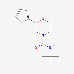 molecular formula C13H20N2O2S B6896203 N-tert-butyl-2-thiophen-2-ylmorpholine-4-carboxamide 