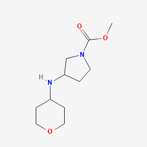 molecular formula C11H20N2O3 B6897803 Methyl 3-(oxan-4-ylamino)pyrrolidine-1-carboxylate 