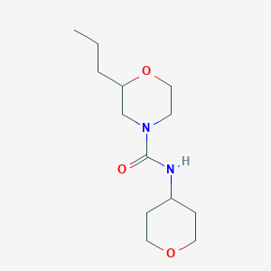 molecular formula C13H24N2O3 B6898754 N-(oxan-4-yl)-2-propylmorpholine-4-carboxamide 