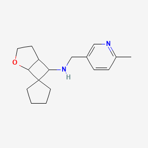 molecular formula C17H24N2O B6899657 N-[(6-methylpyridin-3-yl)methyl]spiro[2-oxabicyclo[3.2.0]heptane-7,1'-cyclopentane]-6-amine 