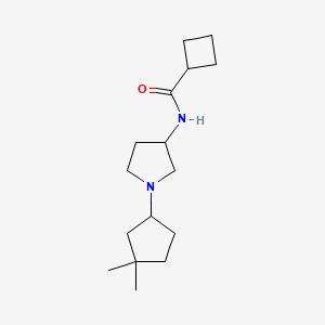 molecular formula C16H28N2O B6900516 N-[1-(3,3-dimethylcyclopentyl)pyrrolidin-3-yl]cyclobutanecarboxamide 