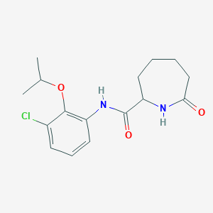molecular formula C16H21ClN2O3 B6903512 N-(3-chloro-2-propan-2-yloxyphenyl)-7-oxoazepane-2-carboxamide 