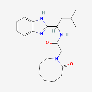 molecular formula C21H30N4O2 B6904098 N-[1-(1H-benzimidazol-2-yl)-3-methylbutyl]-2-(2-oxoazocan-1-yl)acetamide 