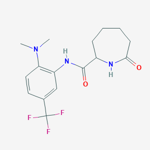 molecular formula C16H20F3N3O2 B6904148 N-[2-(dimethylamino)-5-(trifluoromethyl)phenyl]-7-oxoazepane-2-carboxamide 