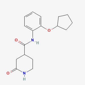 molecular formula C17H22N2O3 B6904535 N-(2-cyclopentyloxyphenyl)-2-oxopiperidine-4-carboxamide 