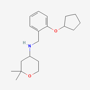molecular formula C19H29NO2 B6904824 N-[(2-cyclopentyloxyphenyl)methyl]-2,2-dimethyloxan-4-amine 