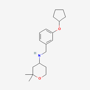 molecular formula C19H29NO2 B6904830 N-[(3-cyclopentyloxyphenyl)methyl]-2,2-dimethyloxan-4-amine 