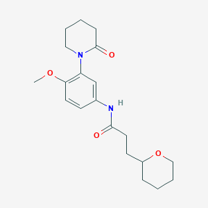 molecular formula C20H28N2O4 B6905685 N-[4-methoxy-3-(2-oxopiperidin-1-yl)phenyl]-3-(oxan-2-yl)propanamide 