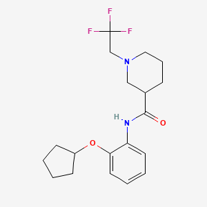 molecular formula C19H25F3N2O2 B6907460 N-(2-cyclopentyloxyphenyl)-1-(2,2,2-trifluoroethyl)piperidine-3-carboxamide 