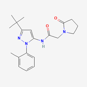 molecular formula C20H26N4O2 B6907814 N-[5-tert-butyl-2-(2-methylphenyl)pyrazol-3-yl]-2-(2-oxopyrrolidin-1-yl)acetamide 