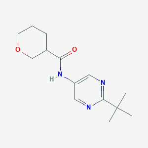 molecular formula C14H21N3O2 B6908570 N-(2-tert-butylpyrimidin-5-yl)oxane-3-carboxamide 