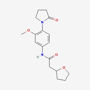 molecular formula C17H22N2O4 B6908752 N-[3-methoxy-4-(2-oxopyrrolidin-1-yl)phenyl]-2-(oxolan-2-yl)acetamide 