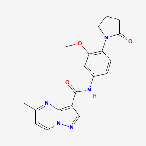 molecular formula C19H19N5O3 B6908989 N-[3-methoxy-4-(2-oxopyrrolidin-1-yl)phenyl]-5-methylpyrazolo[1,5-a]pyrimidine-3-carboxamide 