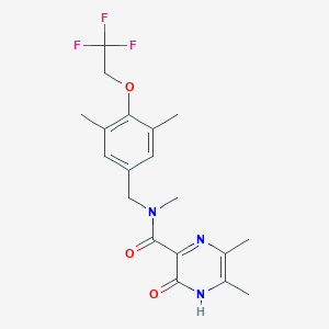 molecular formula C19H22F3N3O3 B6910536 N-[[3,5-dimethyl-4-(2,2,2-trifluoroethoxy)phenyl]methyl]-N,5,6-trimethyl-2-oxo-1H-pyrazine-3-carboxamide 