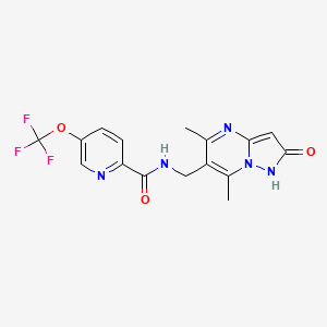 molecular formula C16H14F3N5O3 B6914642 N-[(5,7-dimethyl-2-oxo-1H-pyrazolo[1,5-a]pyrimidin-6-yl)methyl]-5-(trifluoromethoxy)pyridine-2-carboxamide 