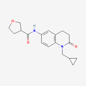 molecular formula C18H22N2O3 B6915904 N-[1-(cyclopropylmethyl)-2-oxo-3,4-dihydroquinolin-6-yl]oxolane-3-carboxamide 