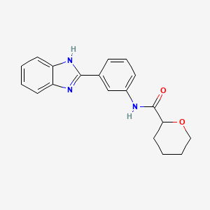 molecular formula C19H19N3O2 B6915984 N-[3-(1H-benzimidazol-2-yl)phenyl]oxane-2-carboxamide 