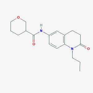 molecular formula C18H24N2O3 B6917513 N-(2-oxo-1-propyl-3,4-dihydroquinolin-6-yl)oxane-3-carboxamide 