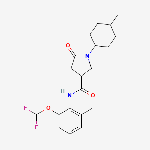 molecular formula C20H26F2N2O3 B6919093 N-[2-(difluoromethoxy)-6-methylphenyl]-1-(4-methylcyclohexyl)-5-oxopyrrolidine-3-carboxamide 