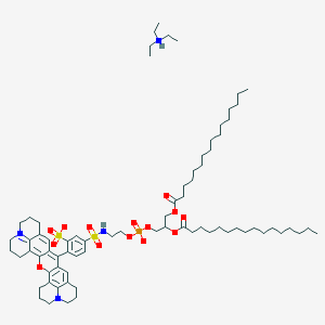 molecular formula C74H117N4O14PS2 B069224 N,N-diethylethanamine;5-[2-[2,3-di(hexadecanoyloxy)propoxy-hydroxyphosphoryl]oxyethylsulfamoyl]-2-(3-oxa-23-aza-9-azoniaheptacyclo[17.7.1.15,9.02,17.04,15.023,27.013,28]octacosa-1(27),2(17),4,9(28),13,15,18-heptaen-16-yl)benzenesulfonate CAS No. 187099-99-6