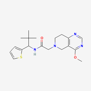 molecular formula C19H26N4O2S B6923696 N-(2,2-dimethyl-1-thiophen-2-ylpropyl)-2-(4-methoxy-7,8-dihydro-5H-pyrido[4,3-d]pyrimidin-6-yl)acetamide 