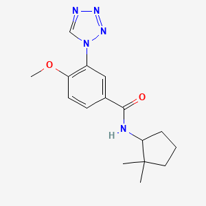 molecular formula C16H21N5O2 B6924322 N-(2,2-dimethylcyclopentyl)-4-methoxy-3-(tetrazol-1-yl)benzamide 