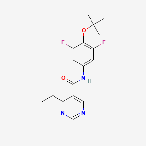 molecular formula C19H23F2N3O2 B6924913 N-[3,5-difluoro-4-[(2-methylpropan-2-yl)oxy]phenyl]-2-methyl-4-propan-2-ylpyrimidine-5-carboxamide 