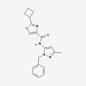 molecular formula C19H20N4O2 B6926723 N-(2-benzyl-5-methylpyrazol-3-yl)-2-cyclobutyl-1,3-oxazole-4-carboxamide 