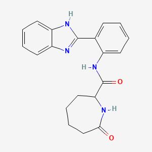 molecular formula C20H20N4O2 B6926827 N-[2-(1H-benzimidazol-2-yl)phenyl]-7-oxoazepane-2-carboxamide 