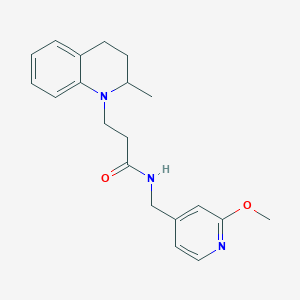 molecular formula C20H25N3O2 B6930538 N-[(2-methoxypyridin-4-yl)methyl]-3-(2-methyl-3,4-dihydro-2H-quinolin-1-yl)propanamide 