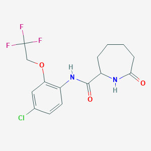 molecular formula C15H16ClF3N2O3 B6931031 N-[4-chloro-2-(2,2,2-trifluoroethoxy)phenyl]-7-oxoazepane-2-carboxamide 