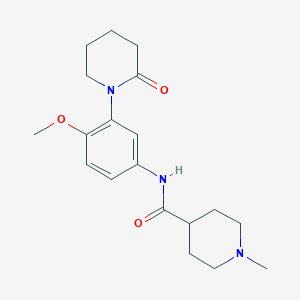 molecular formula C19H27N3O3 B6932580 N-[4-methoxy-3-(2-oxopiperidin-1-yl)phenyl]-1-methylpiperidine-4-carboxamide 