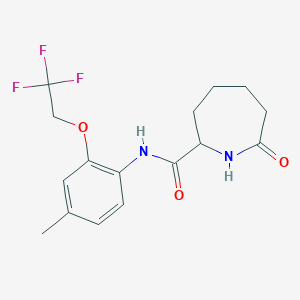 molecular formula C16H19F3N2O3 B6936056 N-[4-methyl-2-(2,2,2-trifluoroethoxy)phenyl]-7-oxoazepane-2-carboxamide 