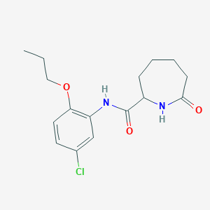 molecular formula C16H21ClN2O3 B6936063 N-(5-chloro-2-propoxyphenyl)-7-oxoazepane-2-carboxamide 