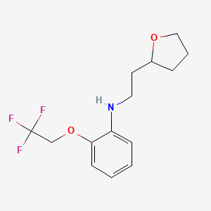 molecular formula C14H18F3NO2 B6936083 N-[2-(oxolan-2-yl)ethyl]-2-(2,2,2-trifluoroethoxy)aniline 