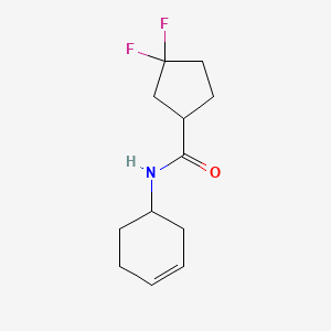 molecular formula C12H17F2NO B6940104 N-cyclohex-3-en-1-yl-3,3-difluorocyclopentane-1-carboxamide 